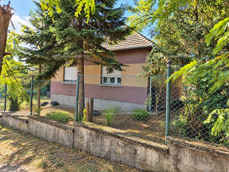 Ingatlan kép