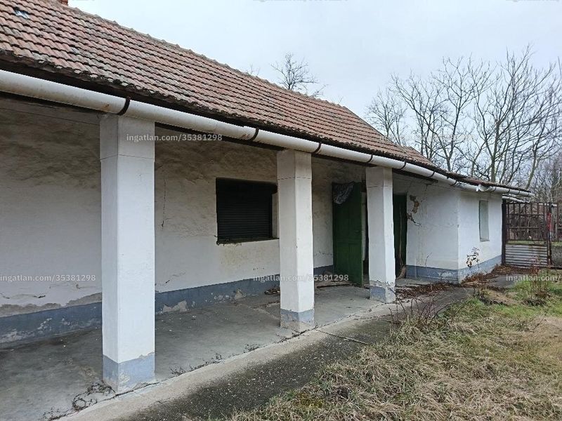 Ingatlan kép