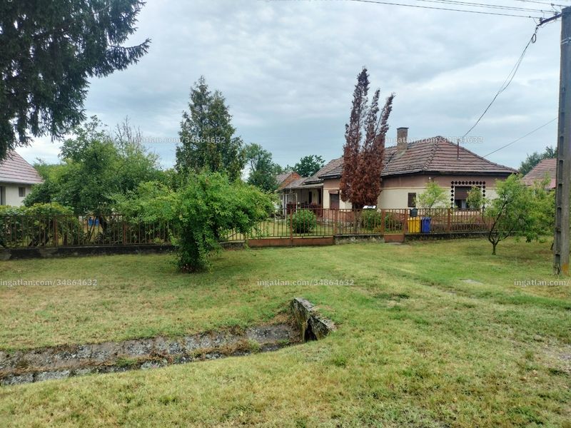 Ingatlan kép