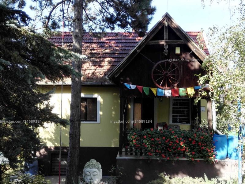 Ingatlan kép