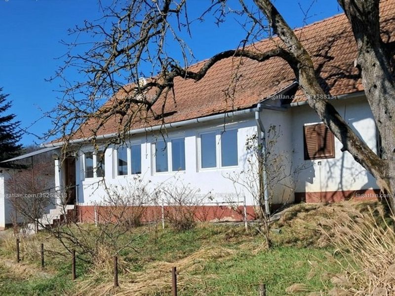 Ingatlan kép