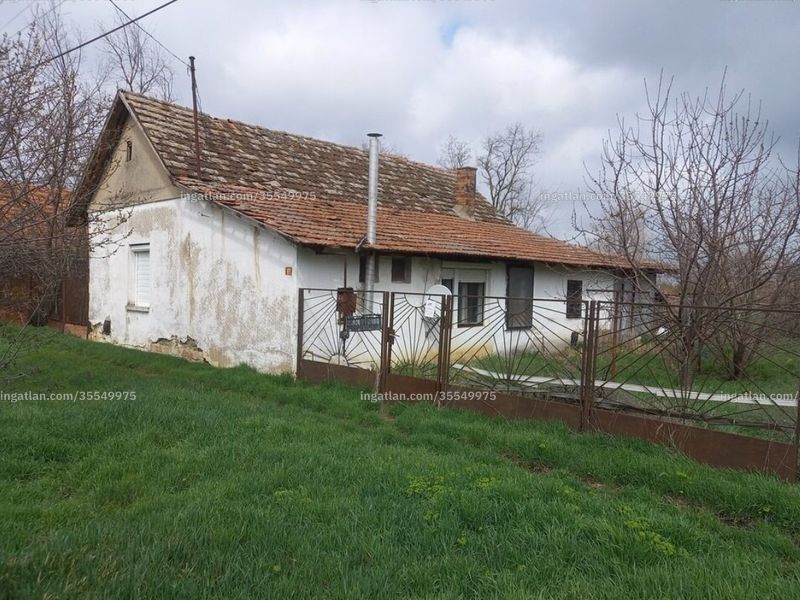Ingatlan kép