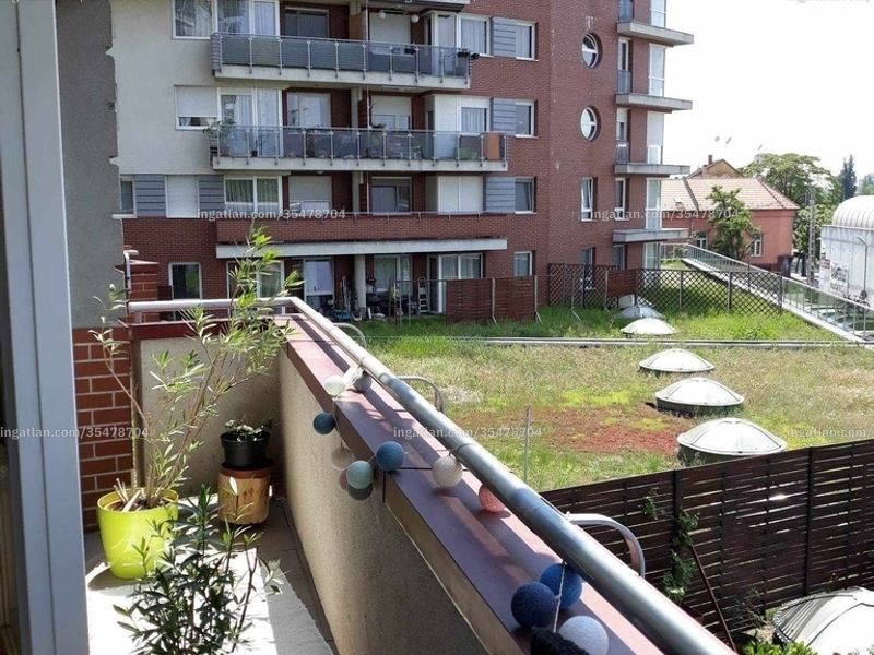 Ingatlan kép