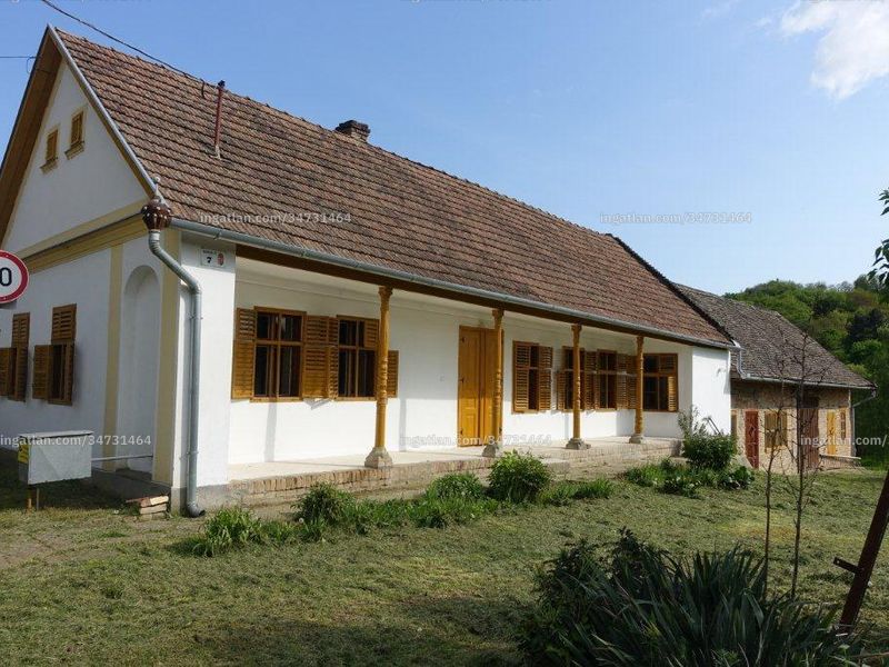 Ingatlan kép