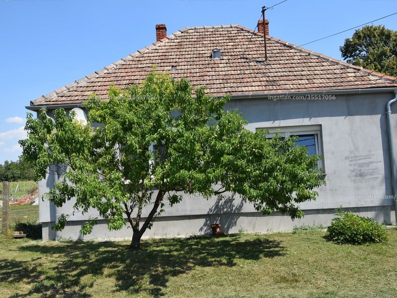 Ingatlan kép