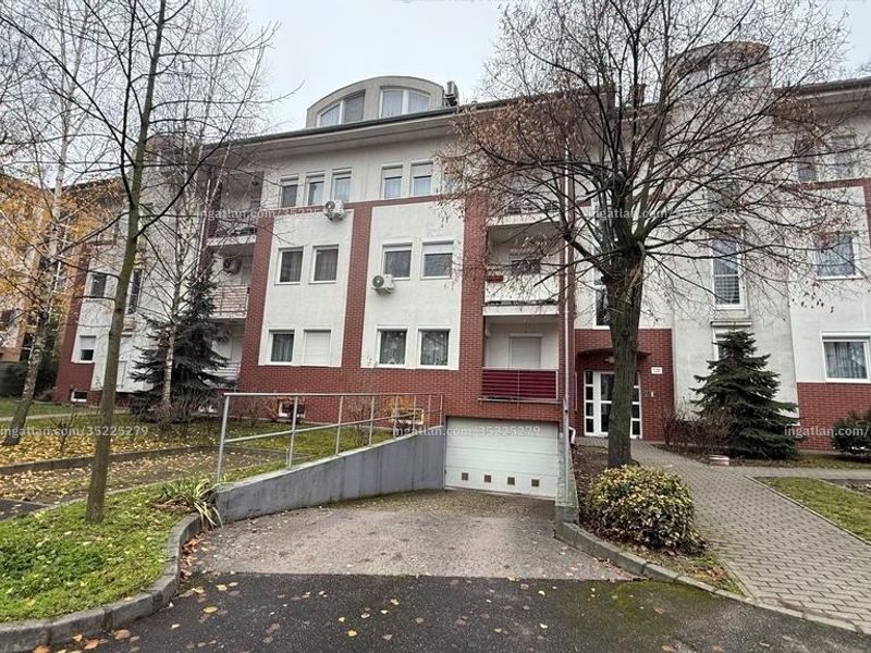 Ingatlan kép