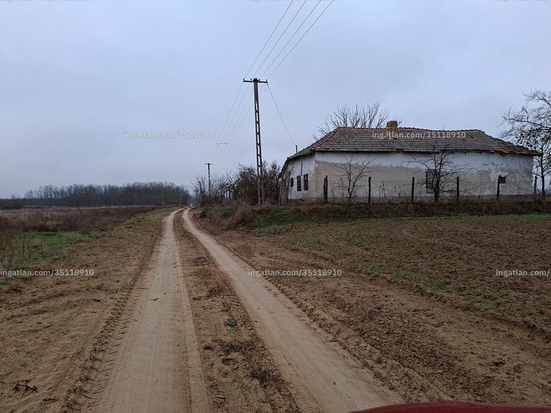 Ingatlan kép