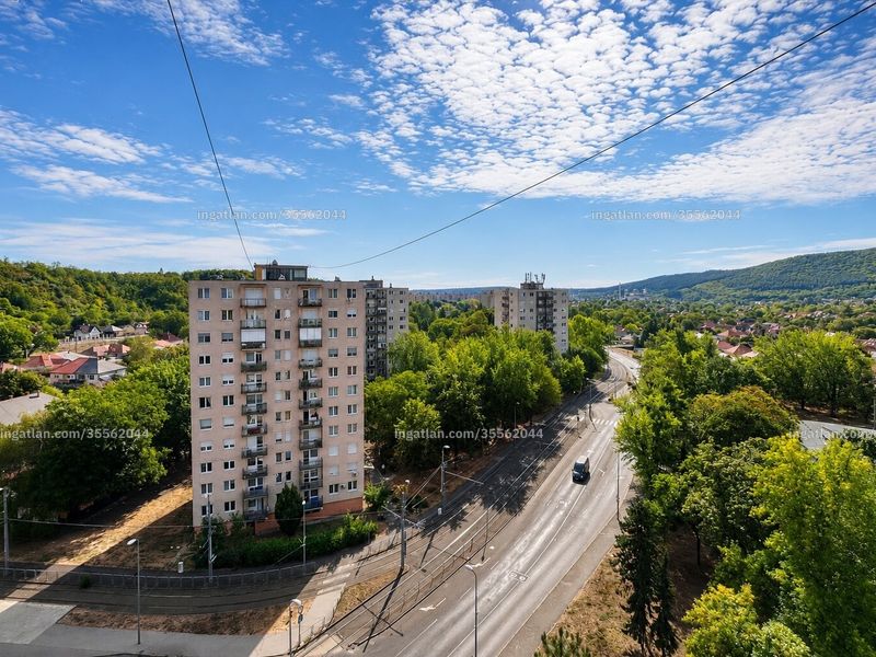 Ingatlan kép