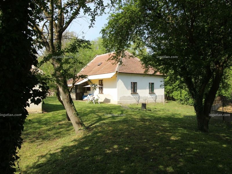 Ingatlan kép