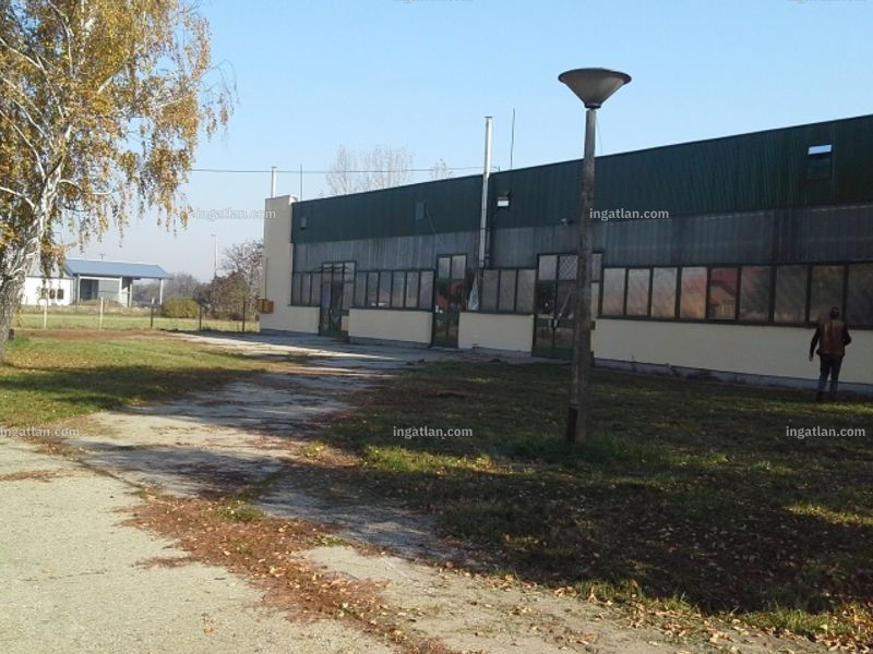 Ingatlan kép