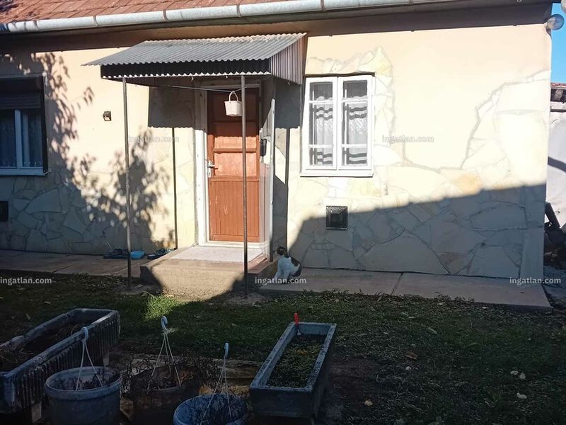 Ingatlan kép