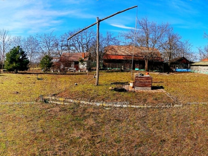 Ingatlan kép