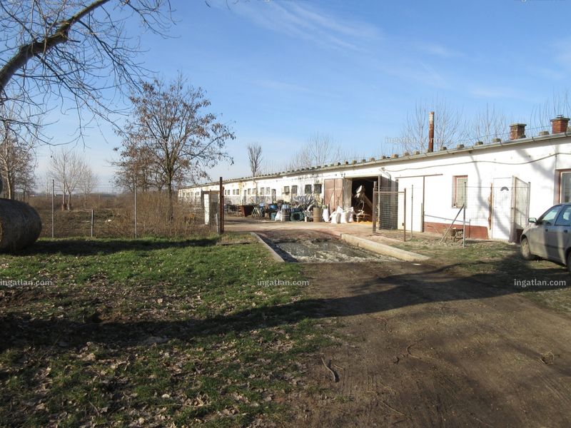 Ingatlan kép