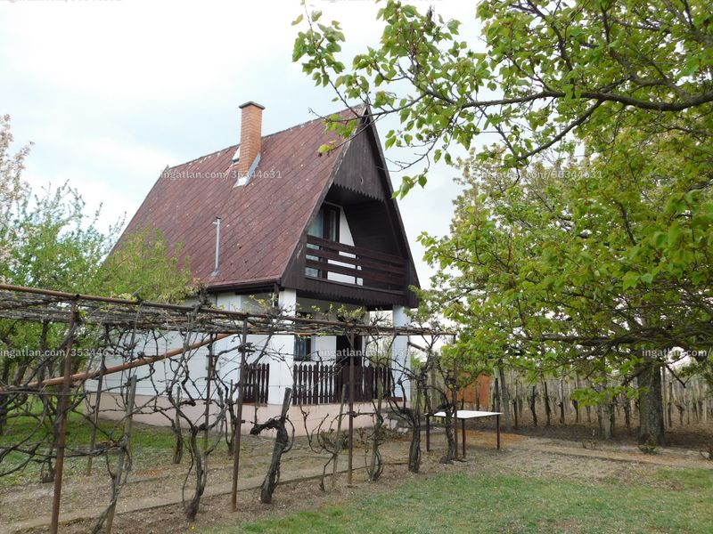 Ingatlan kép