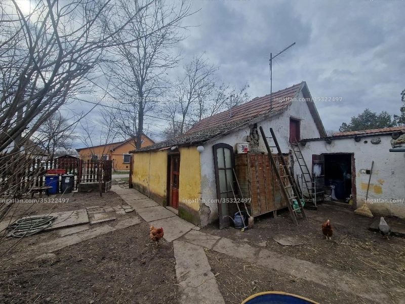 Ingatlan kép