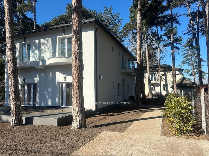 Ingatlan kép