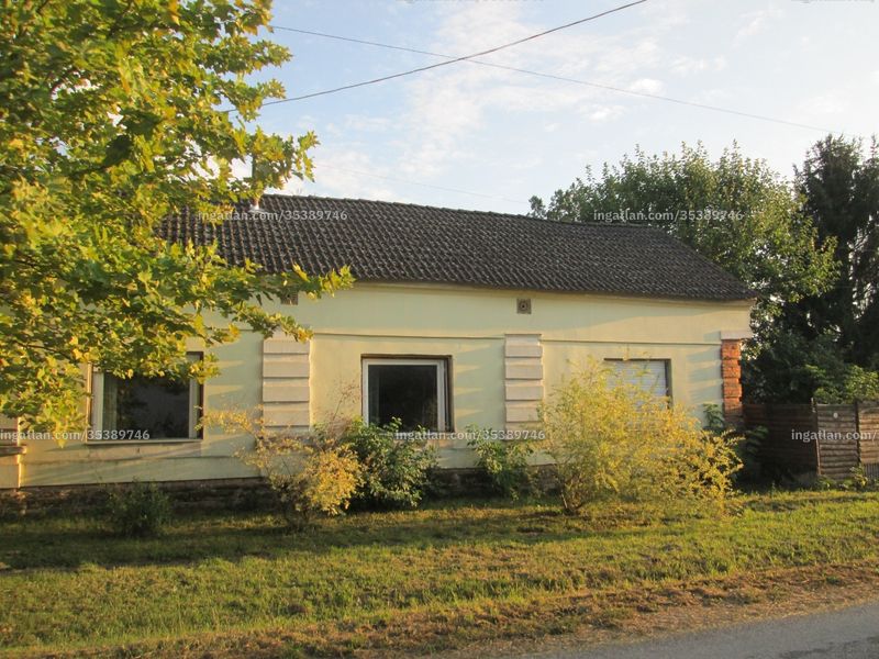 Ingatlan kép