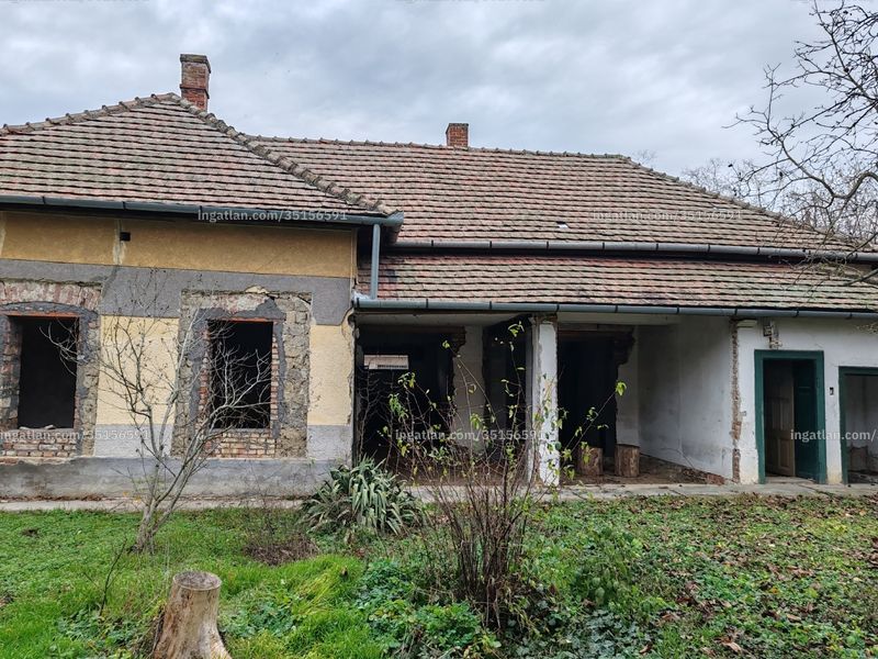 Ingatlan kép