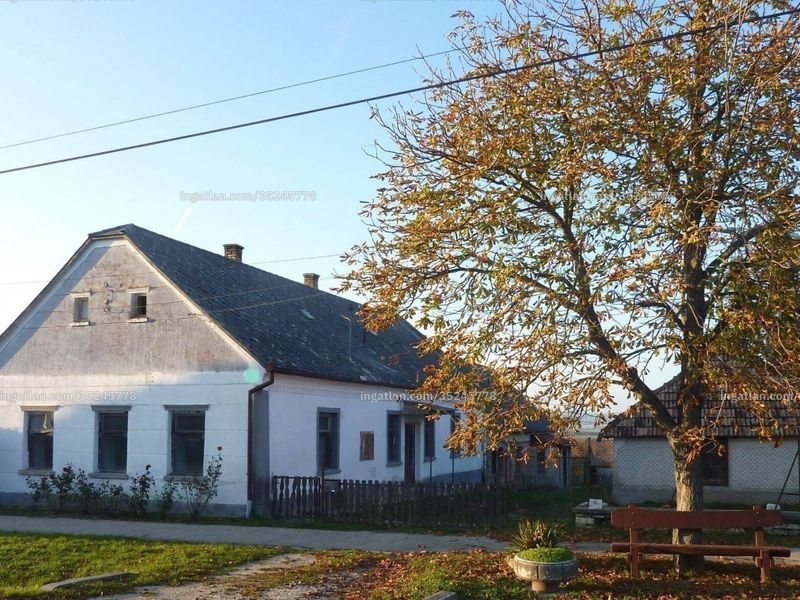 Ingatlan kép