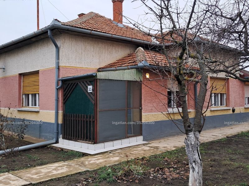 Ingatlan kép