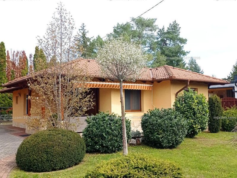 Ingatlan kép