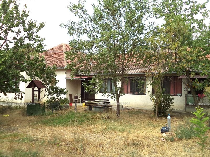 Ingatlan kép