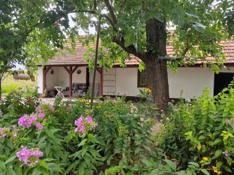 Ingatlan kép