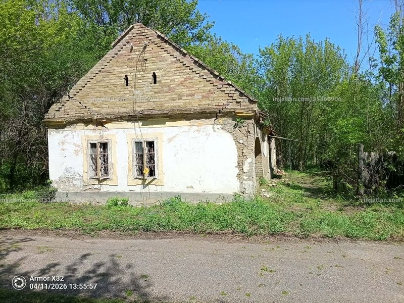 Ingatlan kép