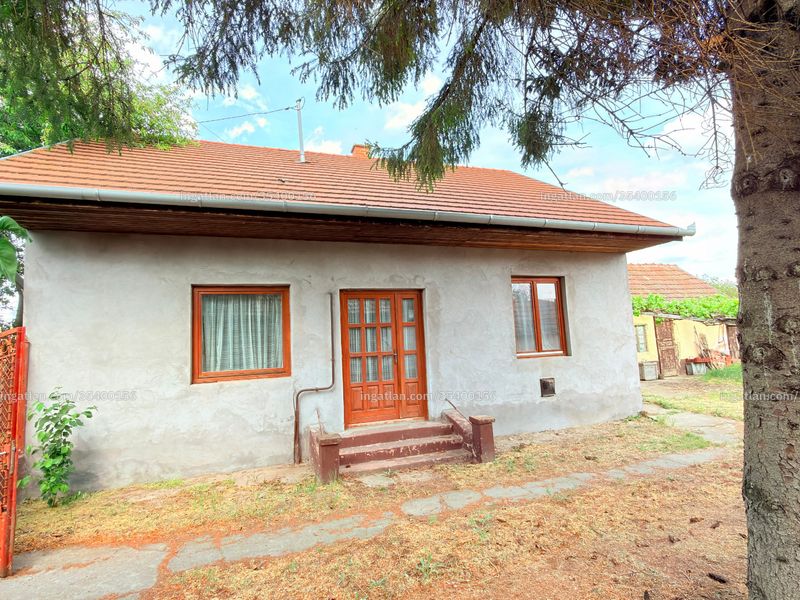 Ingatlan kép