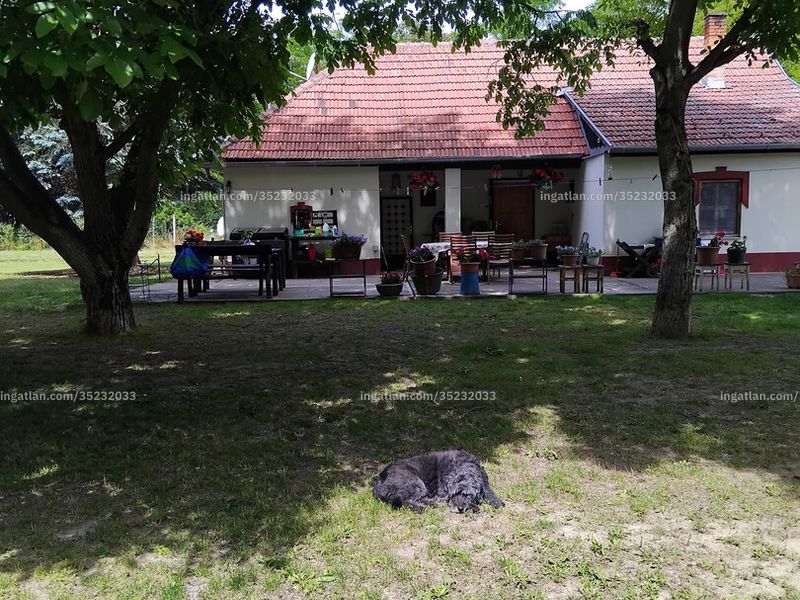 Ingatlan kép