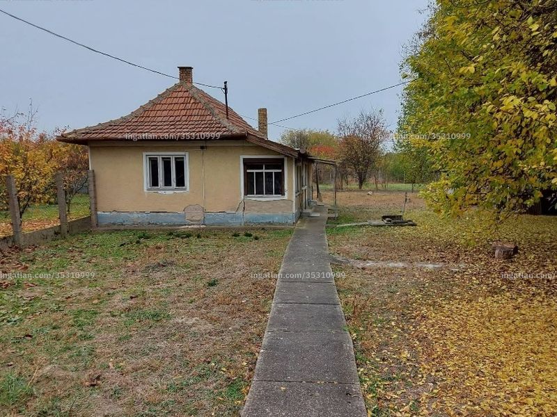 Ingatlan kép