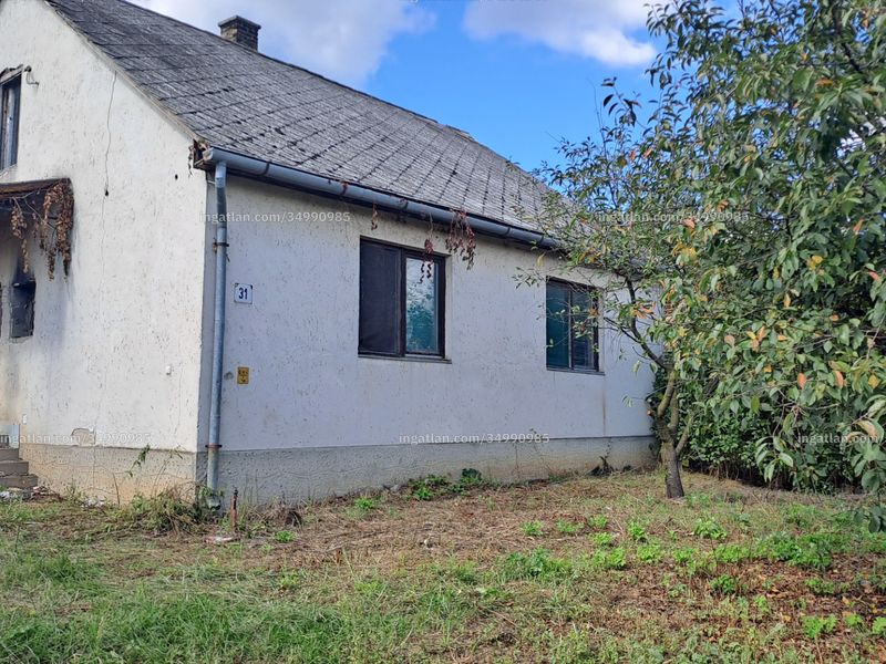 Ingatlan kép