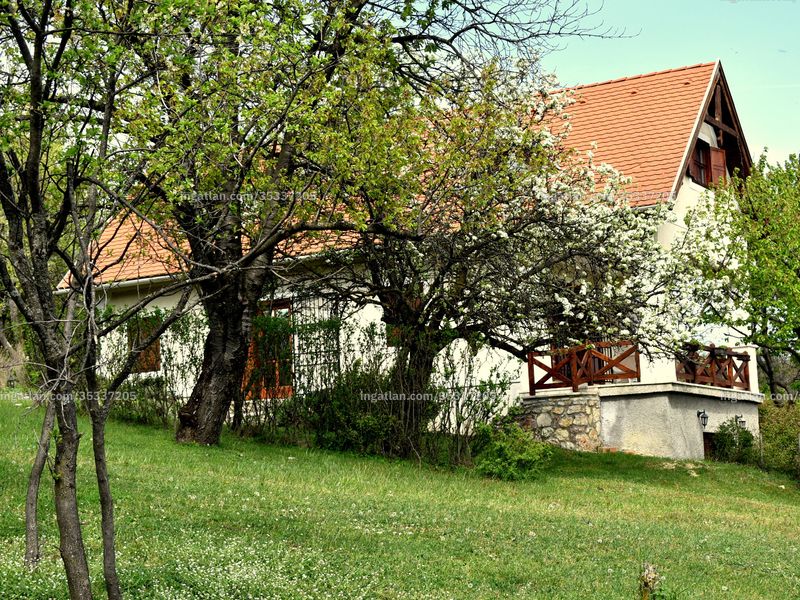 Ingatlan kép