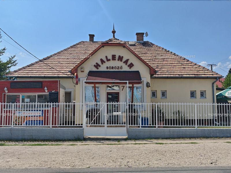 Ingatlan kép