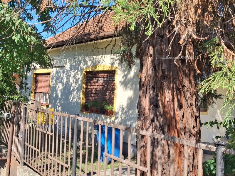 Ingatlan kép
