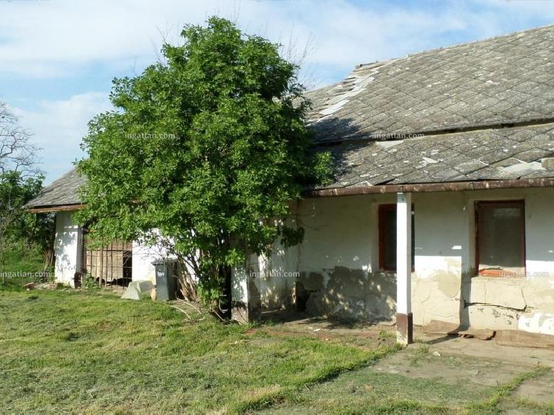 Ingatlan kép
