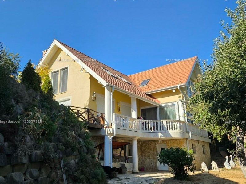 Ingatlan kép