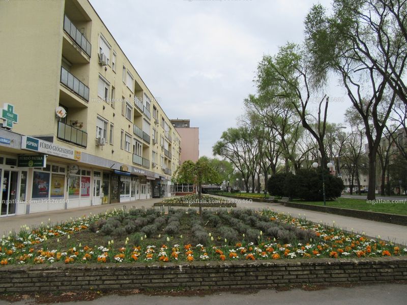 Ingatlan kép