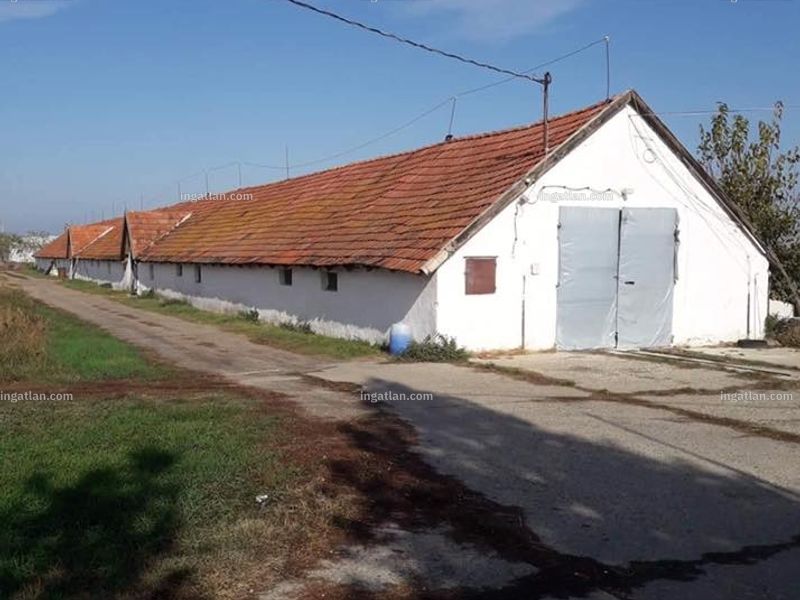 Ingatlan kép