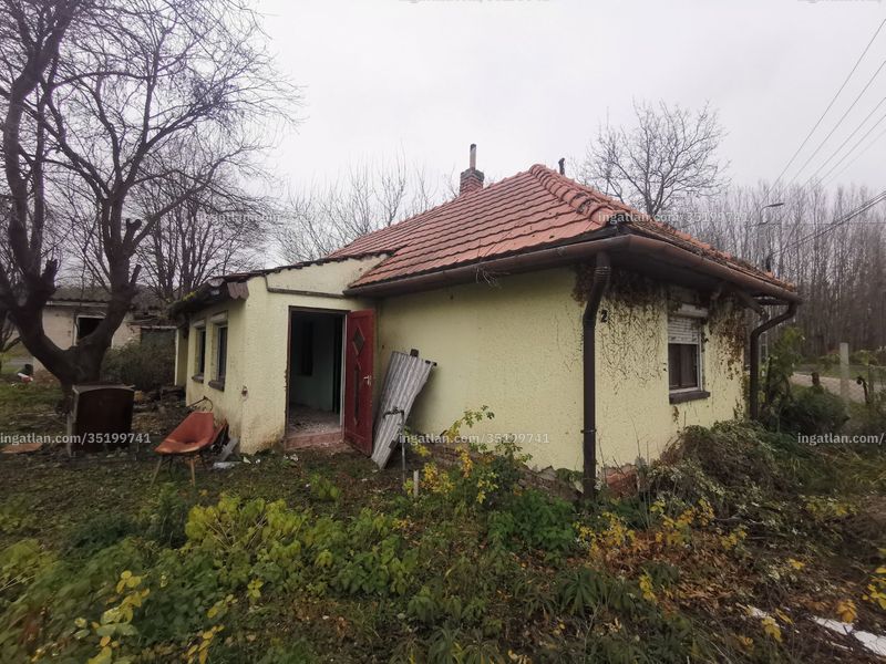 Ingatlan kép