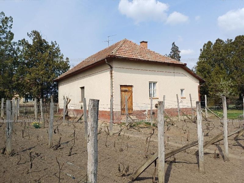 Ingatlan kép