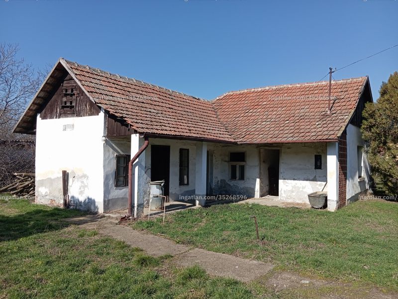 Ingatlan kép