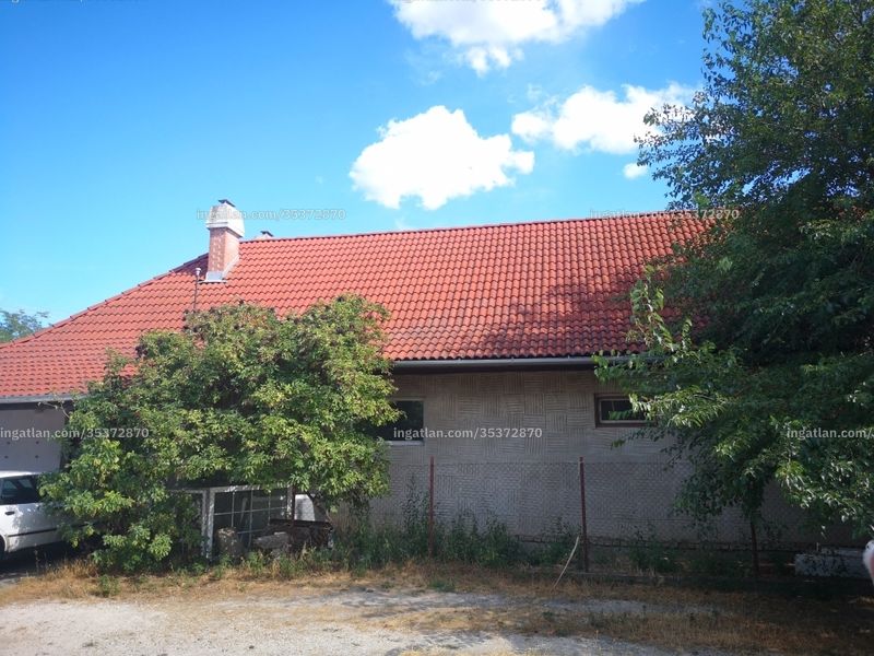 Ingatlan kép