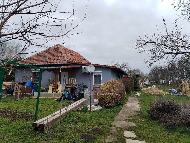 Ingatlan kép