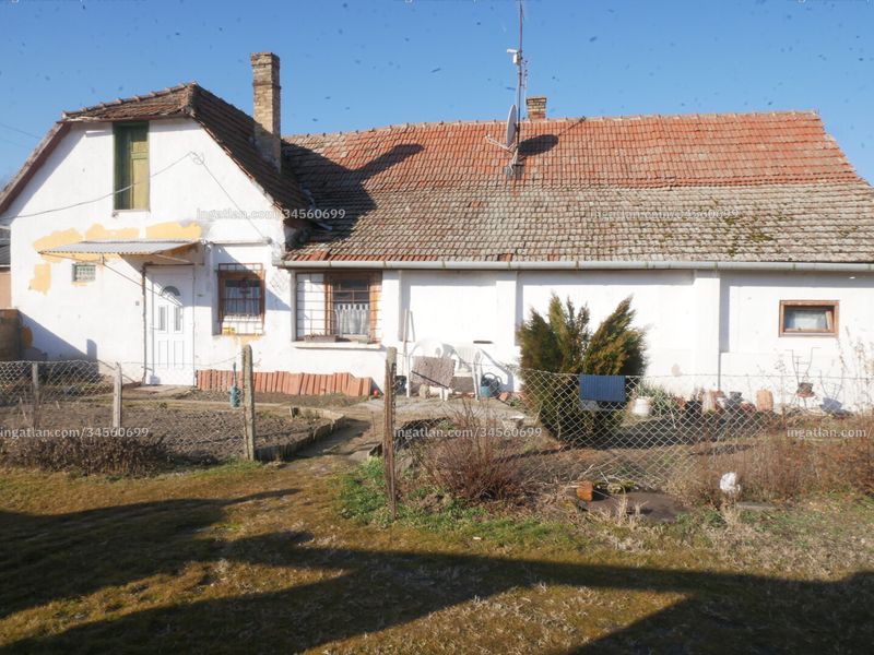 Ingatlan kép