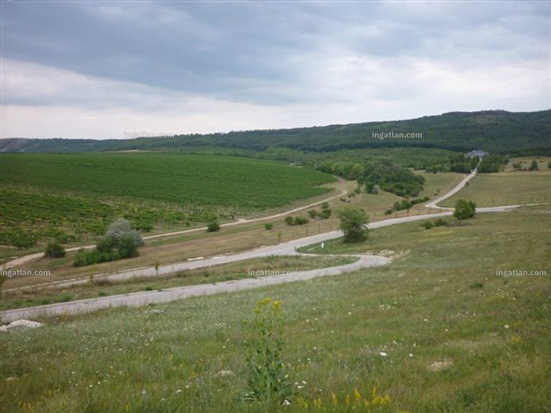 Ingatlan kép