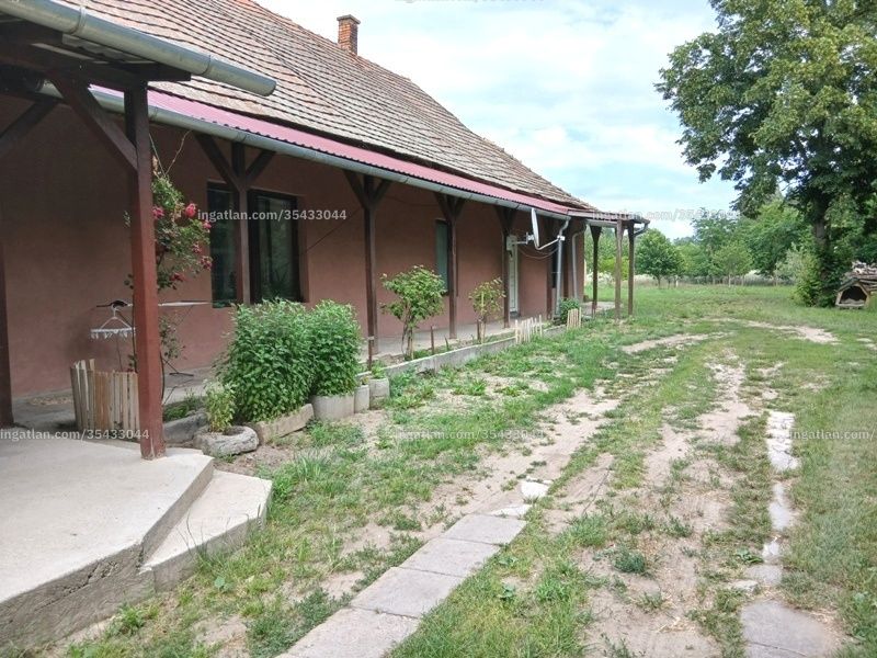 Ingatlan kép