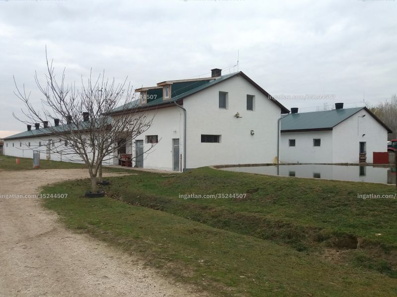 Ingatlan kép
