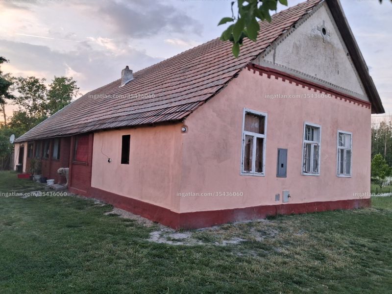 Ingatlan kép