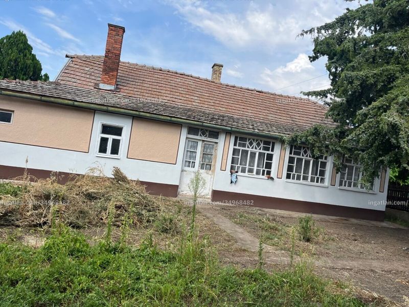 Ingatlan kép